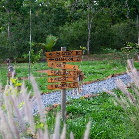 Nativo Glamping Hotel Barichara Luaran gambar