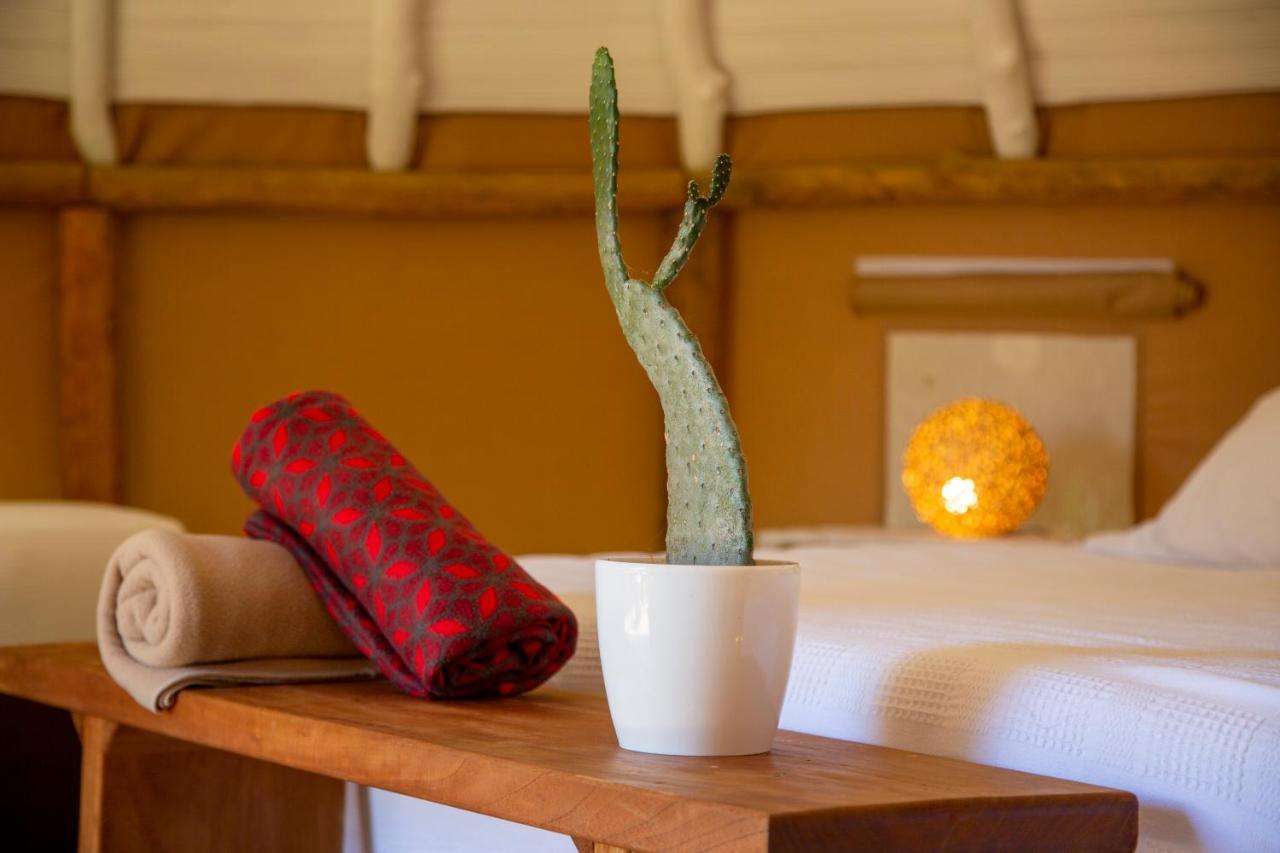 Nativo Glamping Hotel Barichara Luaran gambar